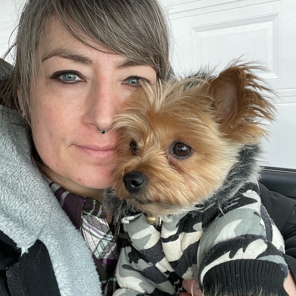 Meet your Posher, Jacey and Ginger - Picture 4 of 11